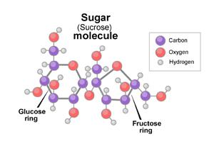 the building blocks of carbs B. Ends in-ose Examples: glucose, fructose, maltose http://www.