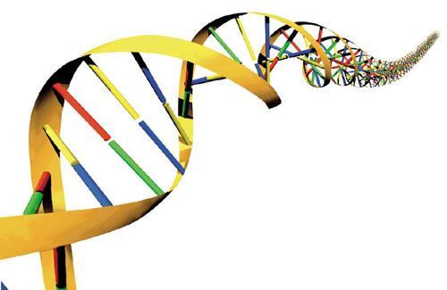 Nucleic Acids: Function Stores