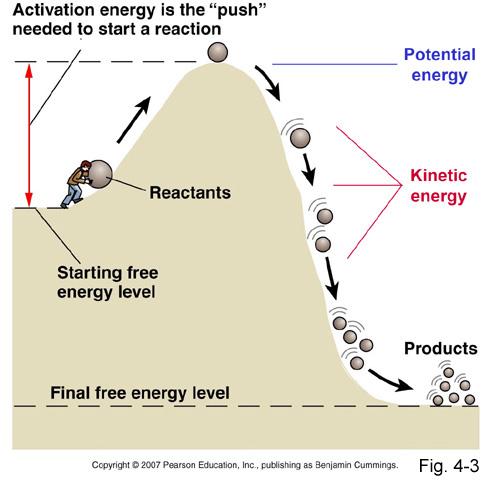 Energy is needed to start a 1. Activation energythe energy needed to start a chemical reaction. 2.