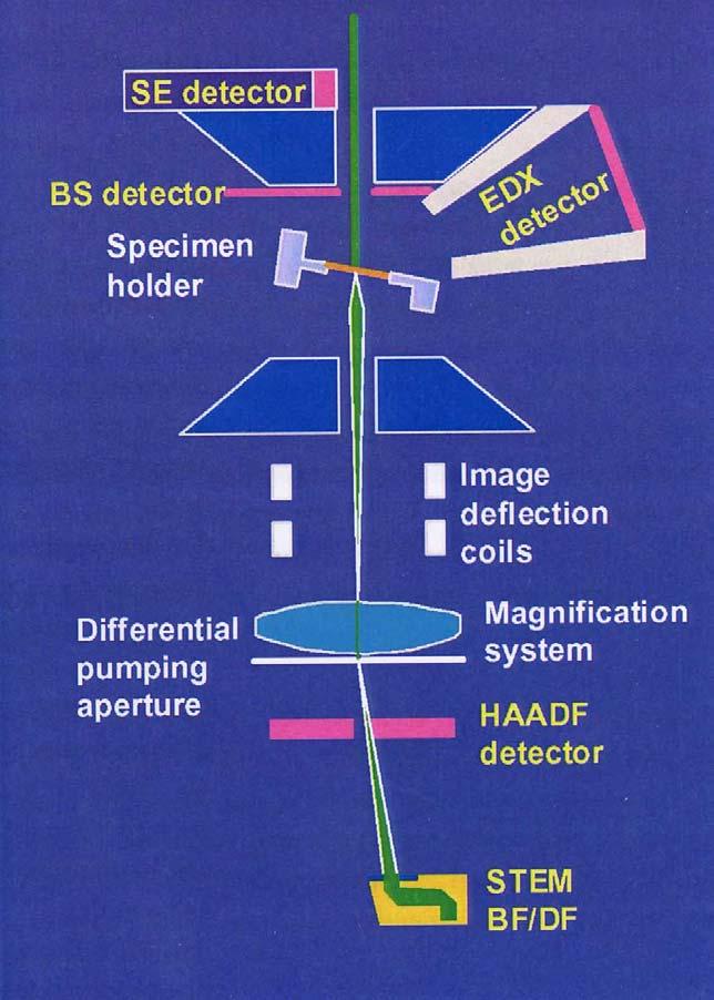 Schematic view of the various signals and their detectors used on a STEM STEM imaging or Z-contrast imaging The Scanning Transmission Electron Microscope ( STEM) provides the facility of scanning a