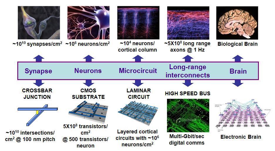 Brain-Inspired Neuromorphic System Our Current