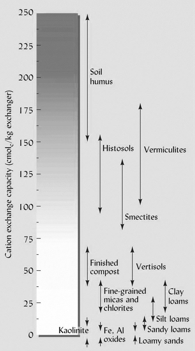 CEC of Different Soils Soil Order Average CEC (cmol c /kg) Alfisols 15 ± 11 Andisols 31 ± 18 Aridisols 18 ± 11 Entisols 20 ± 14 Histosols 140 ± 30