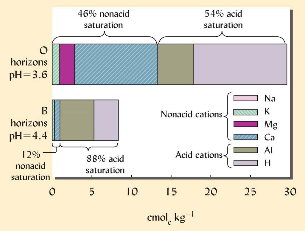 Acid and Base (Nonacid) Saturation Base Saturation = Nonacid Saturation Old Name New Name Acid Saturation % of CEC occupied by acid cations (Al 3+, H +, Fe