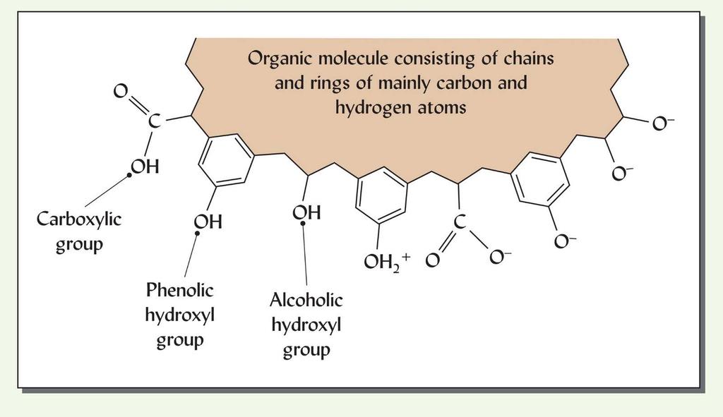 ph-dependent Charge on Humus Carboxylic acid (R-COOH) and phenolic (R-OH) groups deprotonate as