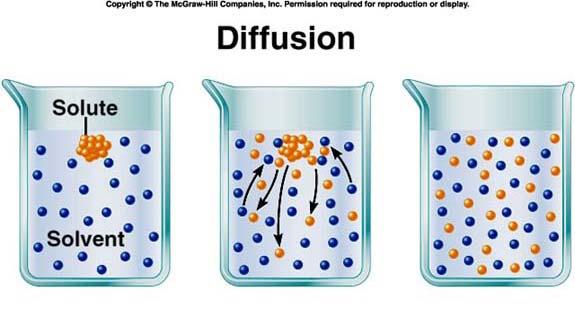 PROCESSES OF THE PLASMA MEMBRANE Passive Transport: (Diffusion and Osmosis) Goal- to reach EQUILIBRIUM within the cell for diffusion & osmosis.