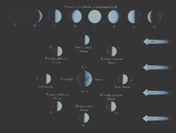 Lunar Phases Kaufmann & Comins 4/e cycle of phases determines