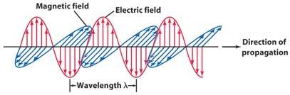mathematical achievement demonstrated that electric and magnetic forces are really two aspects of the same phenomenon, which we now call electromagnetism 17 Electricity