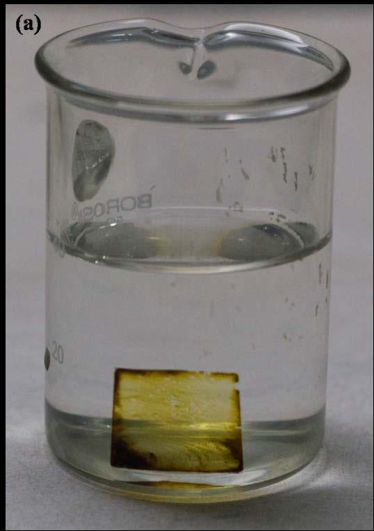 Figure S12. (a) A clean glass slide drop casted with HCDs was kept in a beaker containing distilled water, HCDs treated glass slide was exceptionally stable under water for long time.