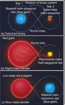 each star is within its Roche lobe and is relatively undistorted.