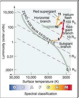 The Carbon Core: eventually, the star runs out of helium in the core the He fuel doesn t last long --- no more than a few 10s of millions of years after the initial flash.
