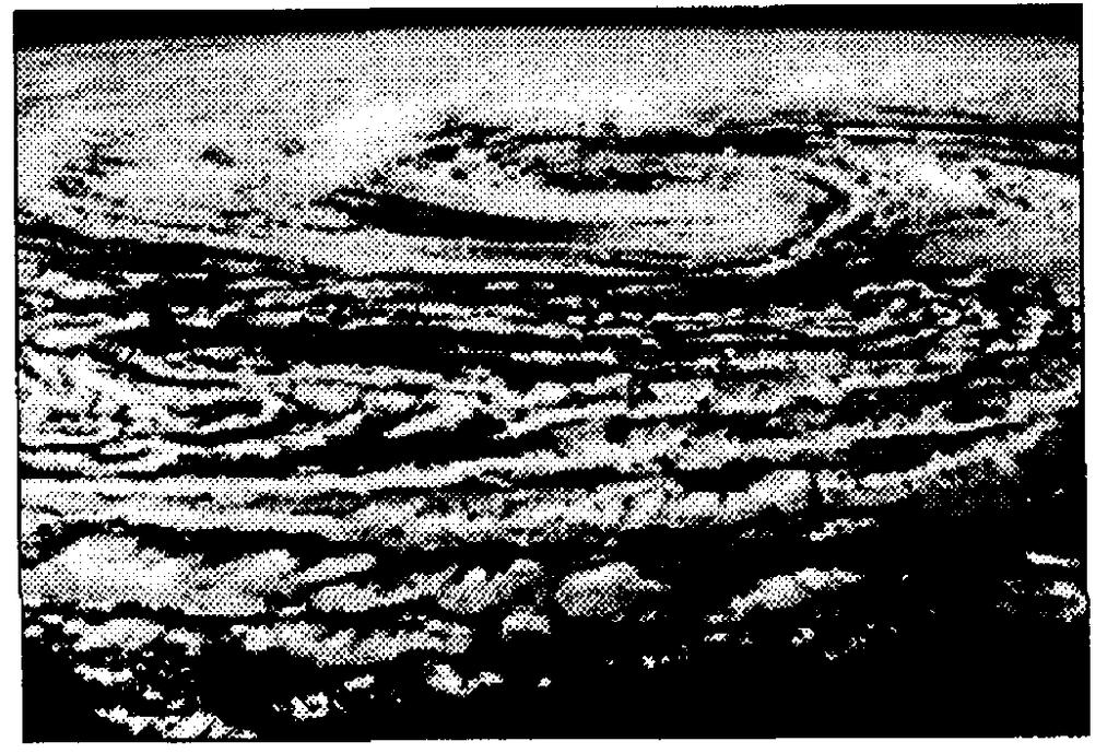 45. The satellite photograph below shows a Northern Hemisphere cloud pattern. 49.