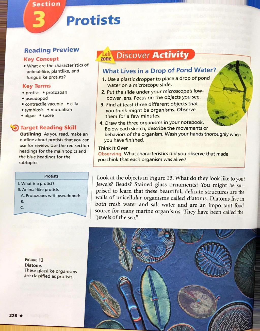 Section Protists Reading Preview Key Concept What are the characteristics of animal-like, plantlike, and funguslike protists?