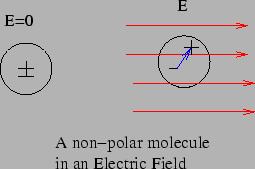 When a non-polar molecule is put in an electric field, the electric forces cause a small separation