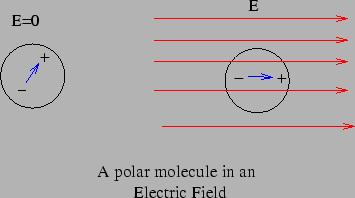 Conductor in an Electric Field Consider