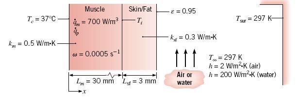 3-7 Bioheat Equation (2) 1-D, Steady 2 d T qm q 2 dx k q c ( T p : metabolic heat generation rate p 0 : perfusion heat