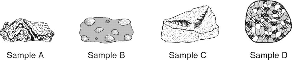 3. The accompanying diagram shows four rock samples. Which sample best shows the physical properties normally associated with regional metamorphism? A. A B. B C. C D. D 4.
