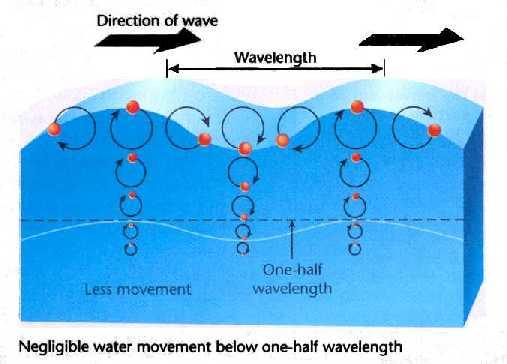 WAVES Crest- Trough- the bottom of the wave Wave height- Wave length- Where do waves come from? What causes waves?