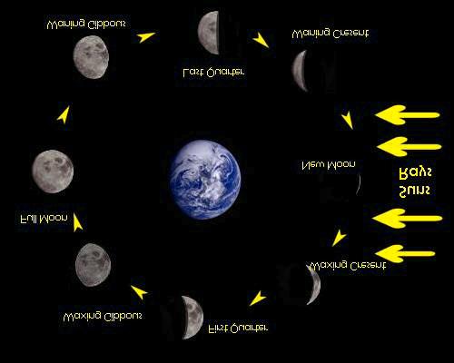 Reading pages 222-223 The Phases of Our Moon There are 8 moon phases. Each one shows a different amount or area of moonlight. The moon takes about one month to go through each of the 8 phases.