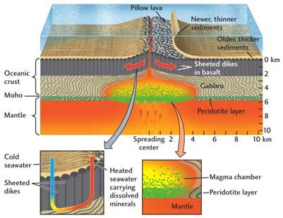 Plate Margins Subduction drags oceanic