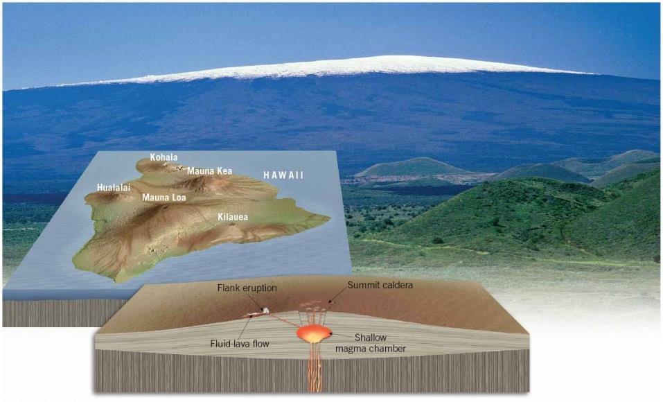 Shield Volcanoes Mauna Loa is largest shield volcano 9 km high Low angle