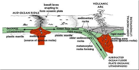 Tectonic Environments and Sedimentary Rock Formation 1) Source regions for sediments are primarily