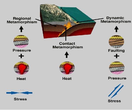 schist, and gneisses 2) Magma Contact = High Heat + Fluids Process termed Contact Metamorphism