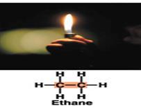 Dr. Salam Ghafour Taher https://sites.google.com/a/koyauniversity.org/salam-taher/ Aliphatic Hydrocarbones : Alkanes Alkanes are fully saturated hydrocarbons, have only C s and H s.