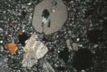 553 Colourless in thin section, non pleochroic May have numerous solid and fluid inclusions within it c Z Y a 1 a 2 a 3 X Quartz Form In igneous and metamorphic rocks irregular (anhedral granular)