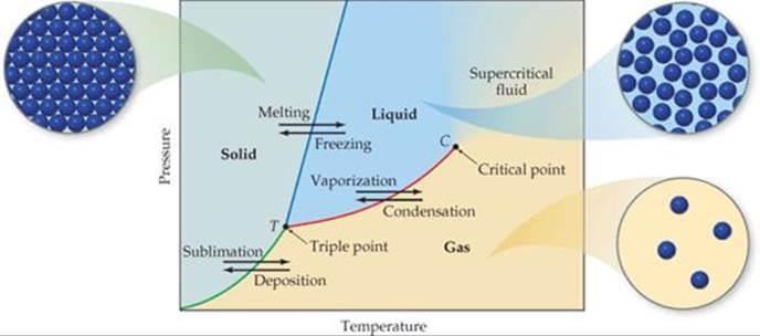 18 6. How does one know that they can identify the normal boiling point and normal melting point? 7. What is the triple point? Phase Diagrams closed systems A phase diagram is a plot of pressure vs.