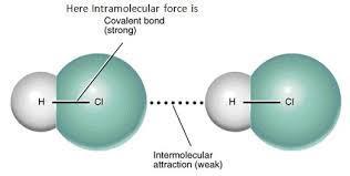 4 9. What is hydrogen bonding? FOR WHAT ELEMENTS IS IT ONLY CONSIDERED HYDROGEN BONDING? 10. List the intermolecular forces (HB,DD,LD) by increasing strength. 11.