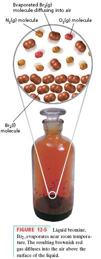 A small amount of liquid bromine was added to the bottle shown Within a few minutes, the air above the liquid bromine turned brownish-red That is