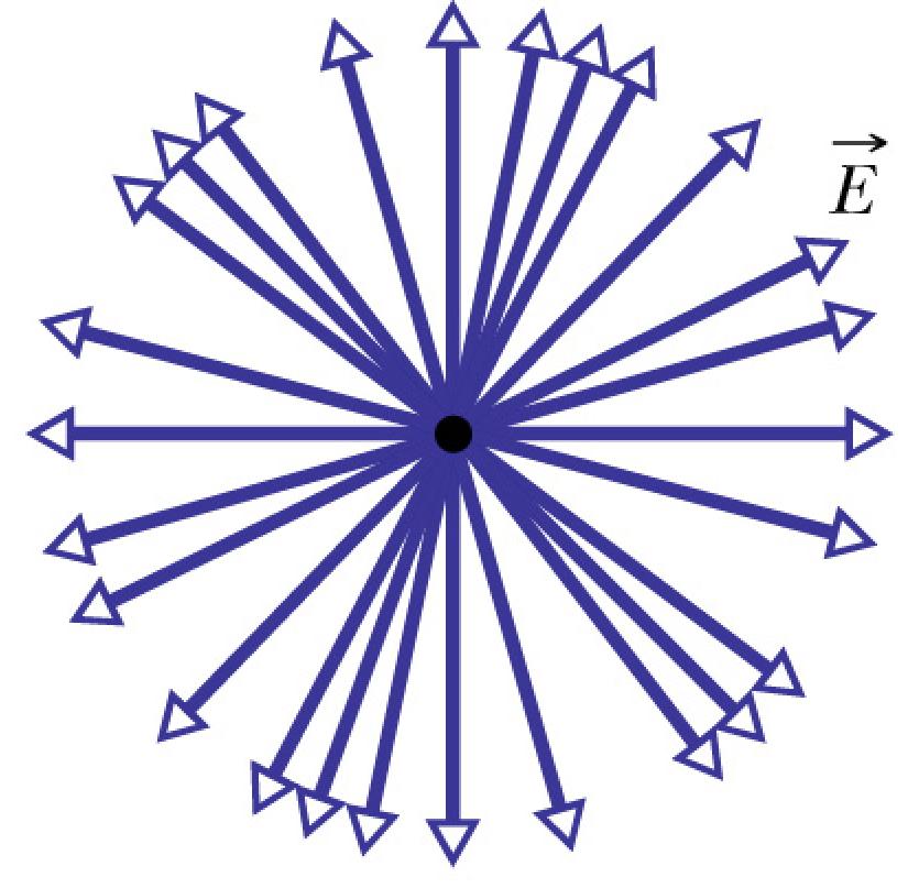 Light whose electric field vector looks like this (unpolarized) will not get you a date with