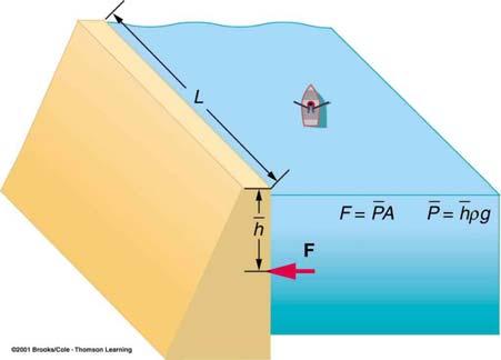Pressure IN a Fluid Is due to the weight of the fluid above you Depends on Depth and Density Only Does NOT depend on how much water is present Acts