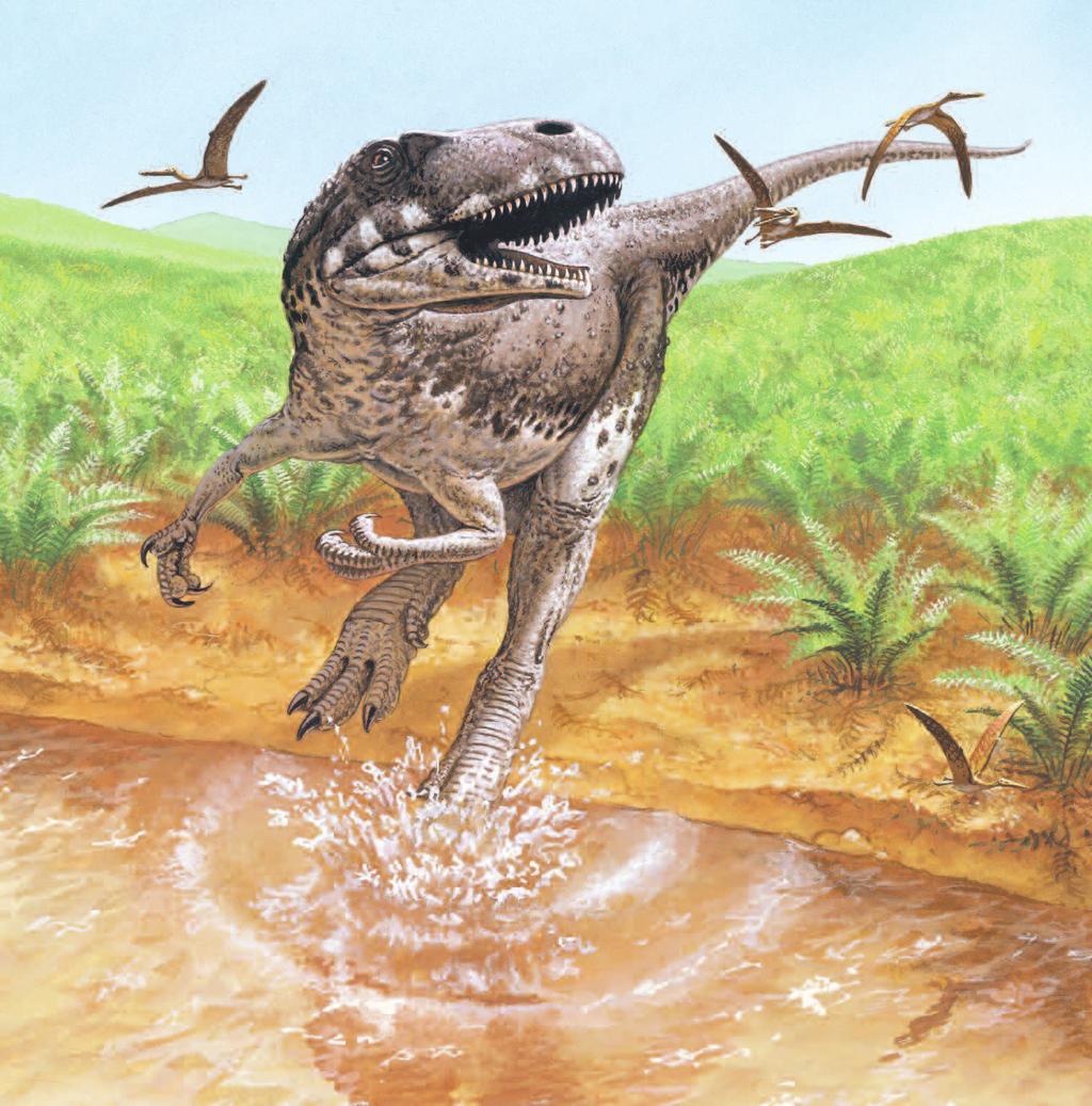 NEOVENATOR Pronunciation: KNEE-o-vuh-NAT-tur Neovenator was a big meat-eater that prowled the swamps,
