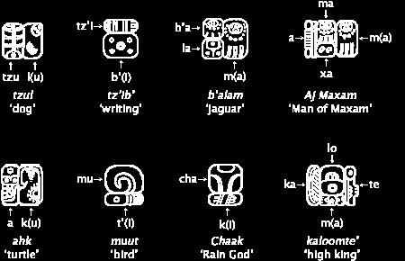 The pictures and symbols used in their writing are called GLYPHS. We currently know the meaning of about 800 Mayan glyphs.