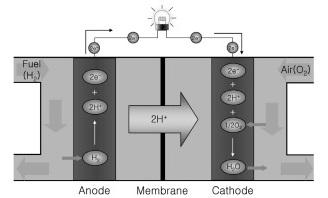 It basically consists of an anode, a cathode and an electrolyte membrane separating the anode and cathode. Hydrogen is delivered to the anode and is split into protons and electrons.