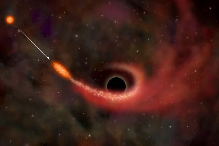 Fueling a Black Hole by Tidal Disruption A star is ripped apart by the tidal forces