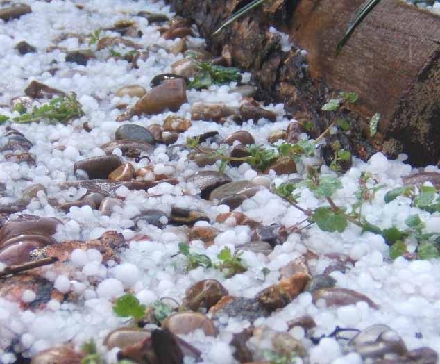 Hail also forms in cold temperatures. Hail looks like ice rocks. Water in clouds becomes hail because of strong winds.