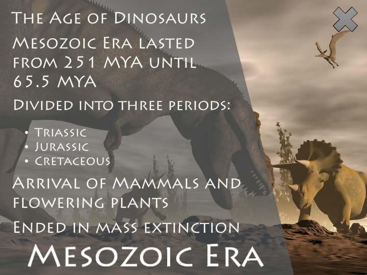 Popularly known as "The Age of Dinosaurs," the Mesozoic Era is when dinosaurs populated the Earth. It lasted from 251 million years ago to 65.