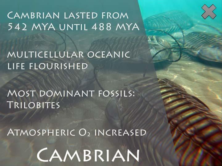 The Cambrian Period was the first period of the Paleozoic Era. The word Paleozoic means "ancient life." The Cambrian Period began 540 million years ago and ended 488 million years ago.