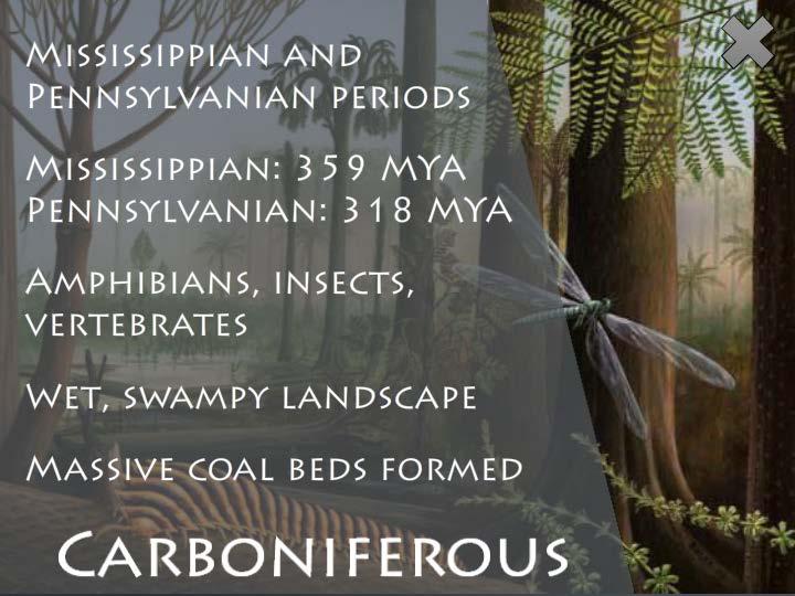 The Carboniferous was composed of both the Mississippian Period and the Pennsylvanian Period.