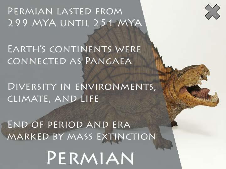 The Permian Period began 299 million years ago and lasted until around 251 million years ago until the end of the Paleozoic Era. During the Permian Period, the continents were connected as Pangaea.