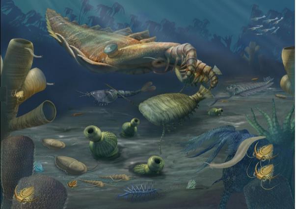 Age of Invertebrates The Cambrian is known as the Cambrian Explosion, marking an explosion of life in short relatively amount of time.