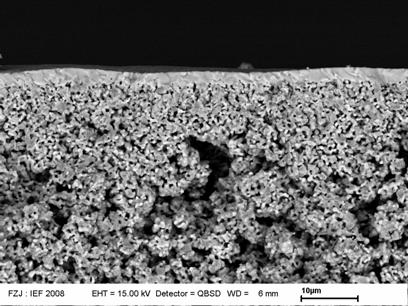 Novel membranes for advanced SOFC s Coating with