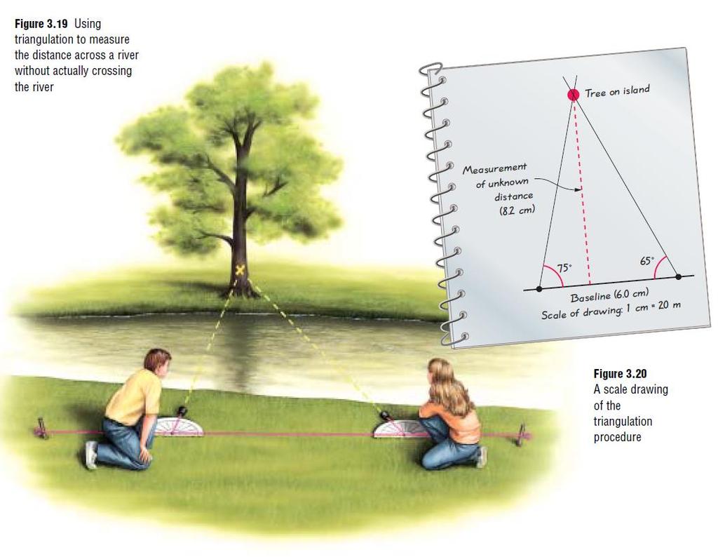 TWO STUDENTS ARE STANDING 24 M APART FROM EACH OTHER, AT AN UNKNOWN DISTANCE TO A TREE. USE THE SCALE DIAGRAM DRAWN BELOW AND TRIANGULATION TO MEASURE THE DISTANCE TO THE TREE. 75 65 1.