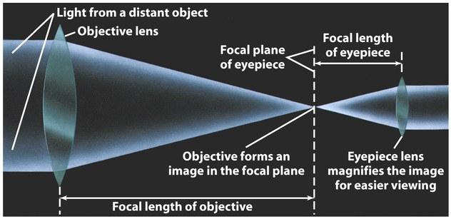 Magnification The amount of magnification depends on the focal length of the