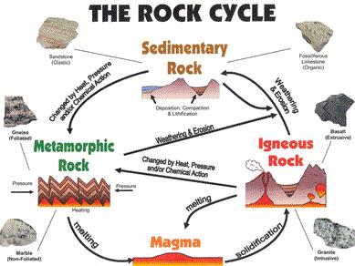 Which rock layer is the newest? 3. How do you know which layers are younger? 4.