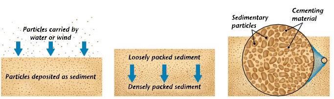 5 steps of sedimentary rock formation: 1) Weathering - rocks are broken down into sediments by physical and chemical processes 2) Erosion - sediments are carried from their source 3) Deposition -