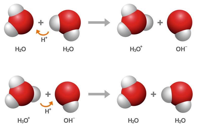 For example, pure hydrogen chloride is a gas that contains no H + ions and ammonia has no OH ions but can neutralise an acid.
