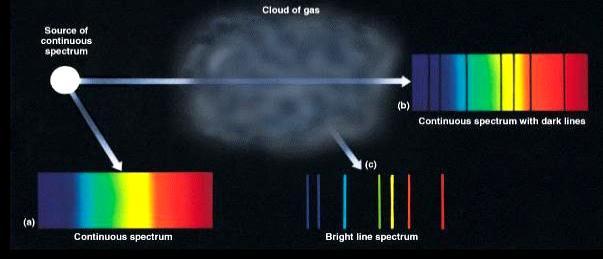 The black lines are formed because the elements present in the cool gas have absorbed certain discrete wavelengths of the white light passing through the gas.